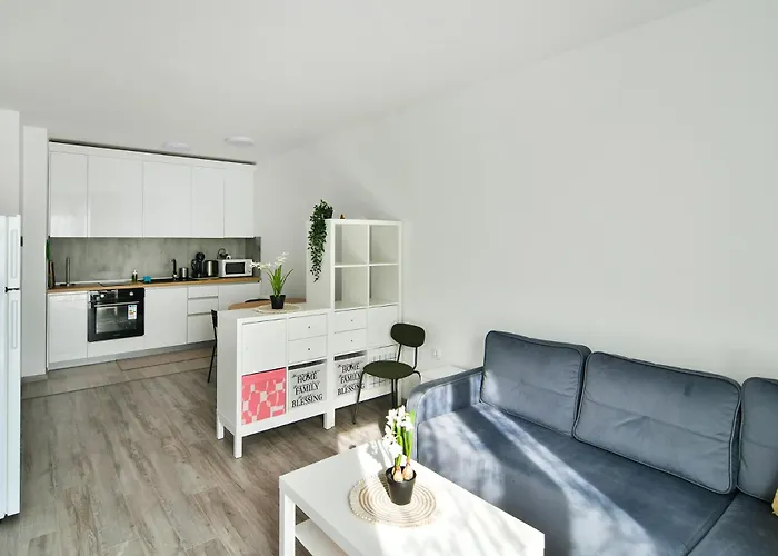 Free Parking Flats With Wifi And Pool Apartment *